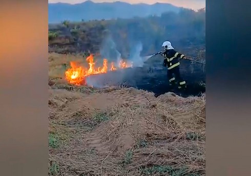 Zəngilanın Şəfibəyli kəndində yanğın olub, quru ot, taxıl sahəsi yanıb Zəngilanın Şəfibəyli kəndində yanğın olub, quru ot, taxıl sahəsi yanıb